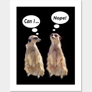 Funny, cute meerkats in conversation Posters and Art
